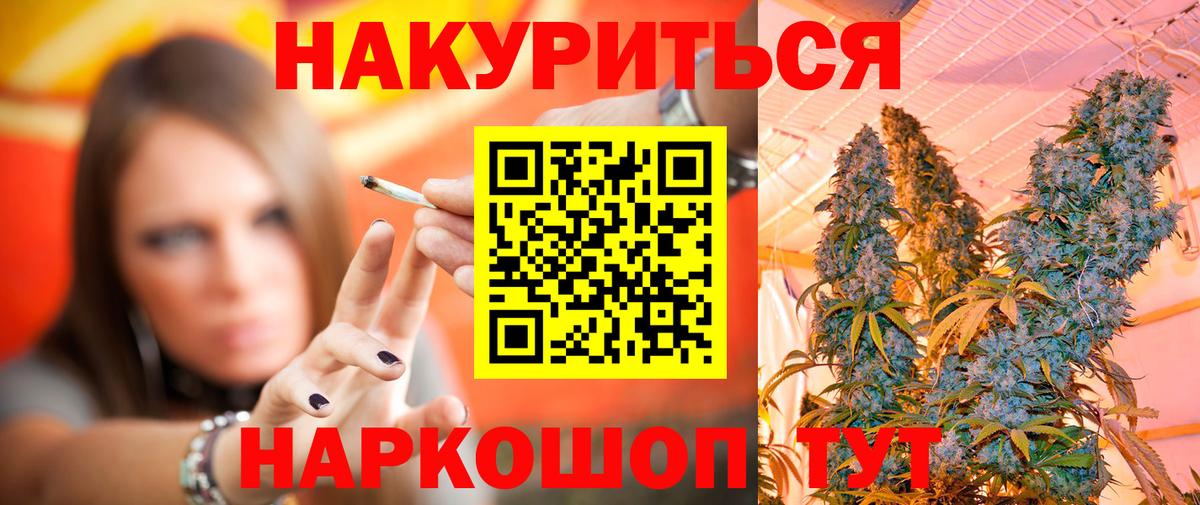 Каннабис план  Каннабис Amnesia  Прохладный  МАРИХУАНА сатива  Каннабис семена  Вход с VPN 